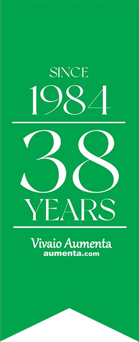 Dal 1984 al 2022 - Vivaio Aumenta - 38 anni di qualità